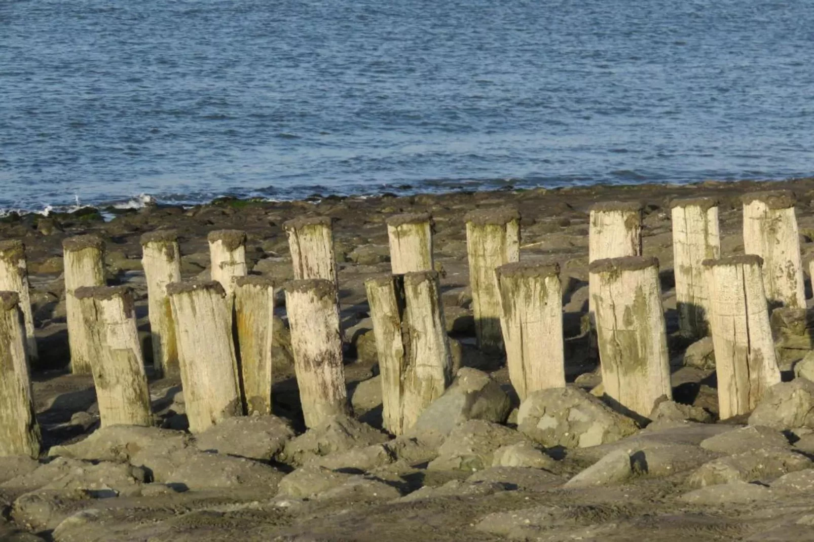 Studio - Zuidstraat 113-Gebieden zomer 5km