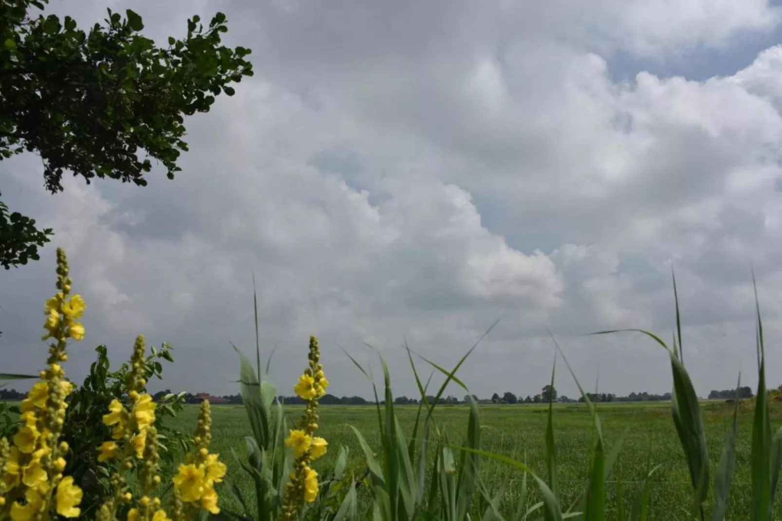 Friese Meren Villa's 22-Gebieden zomer 20km