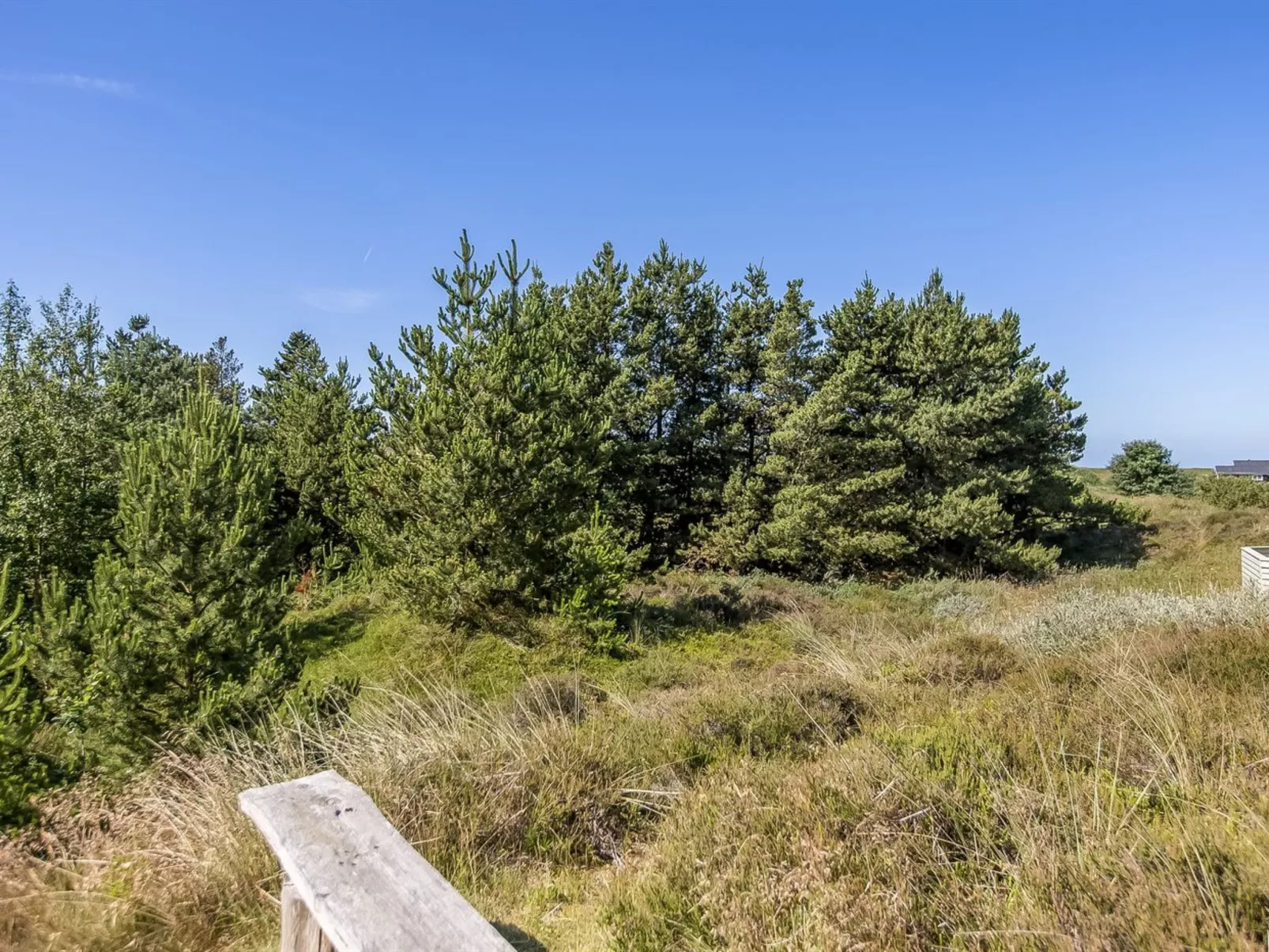 "Bruna" - 2km from the sea-Buiten