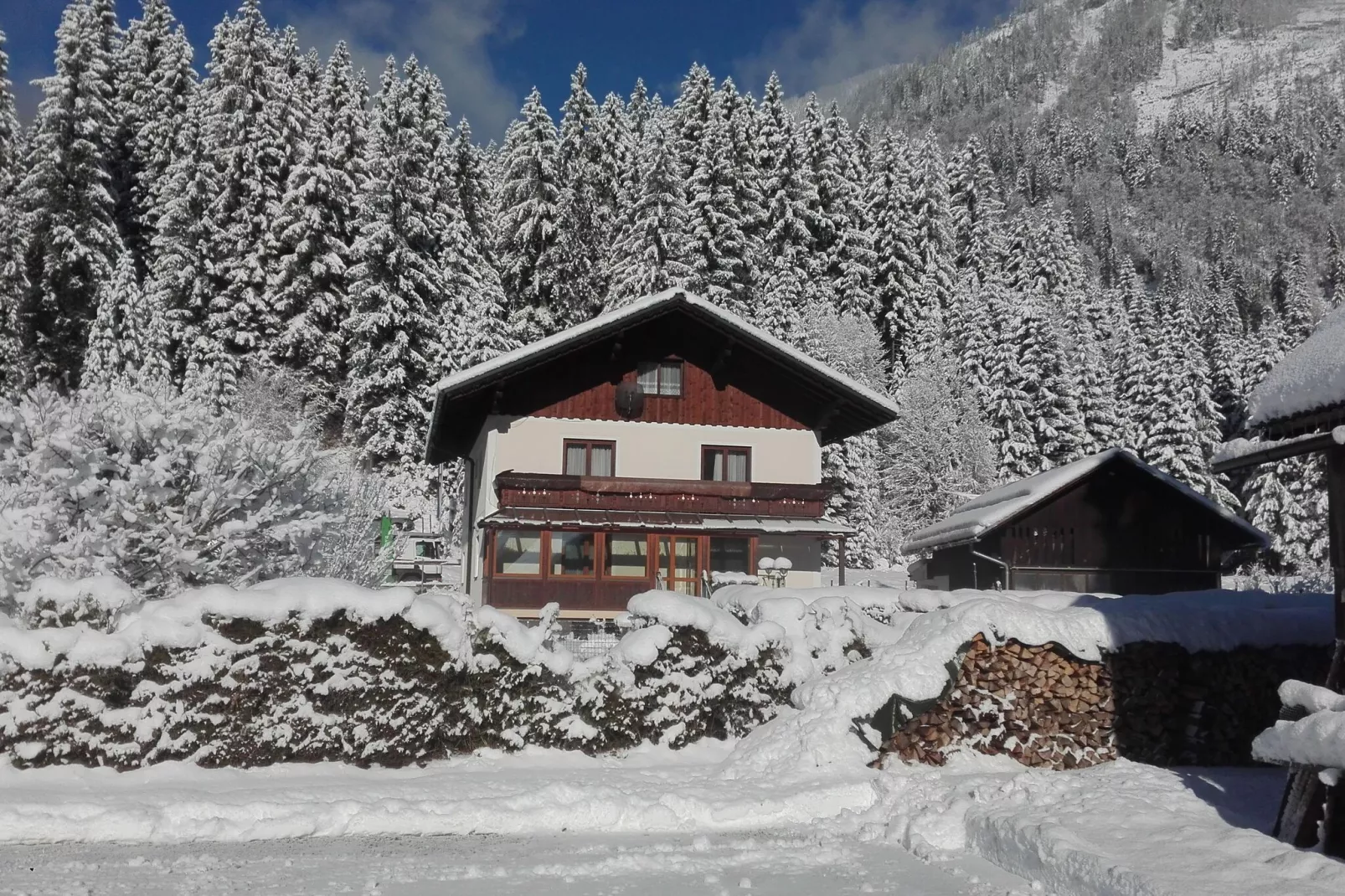 Ferienhaus Gosau-Exterieur winter