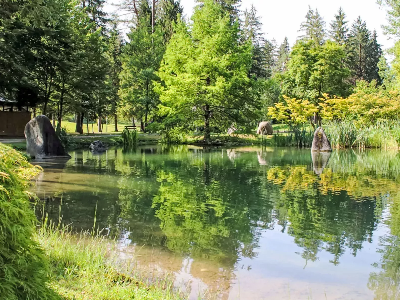 Baita Valon Alpine Hideaway-Omgeving