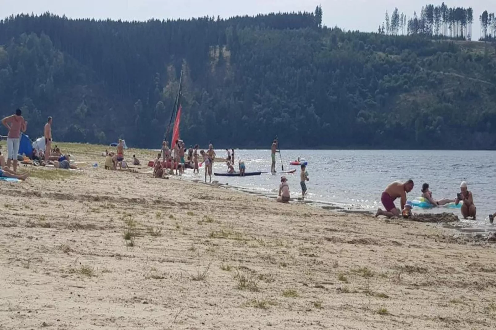 Ferienwohnug an der Saale-Gebieden zomer 1km