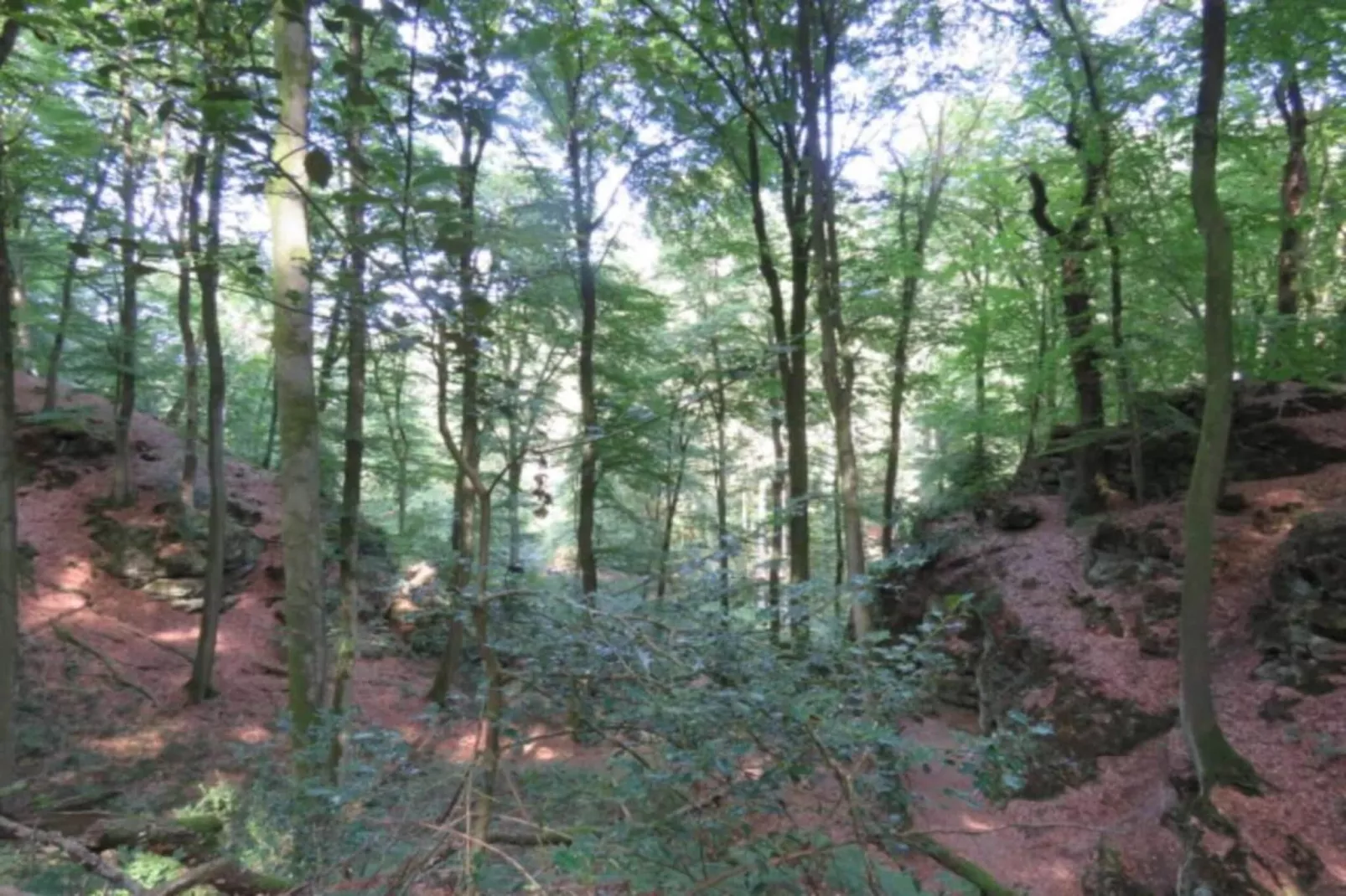 Camping Nommerlayen 1-Gebieden zomer 20km