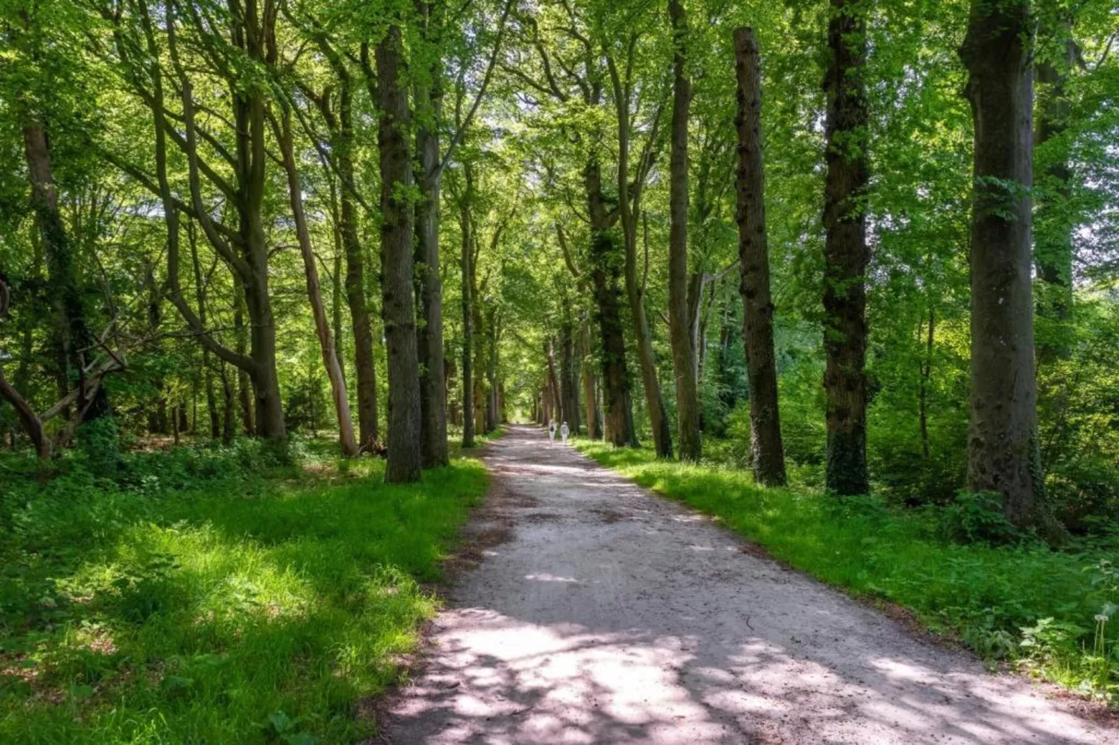 Resort de Parel 15-Gebieden zomer 20km