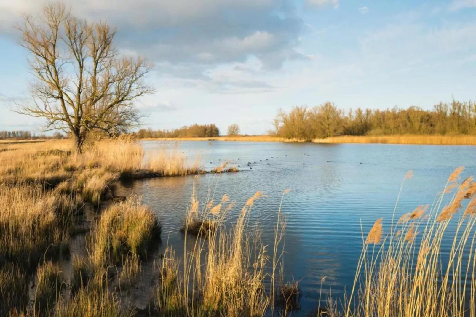 Vakantiepark Latour 7-Gebieden zomer 20km