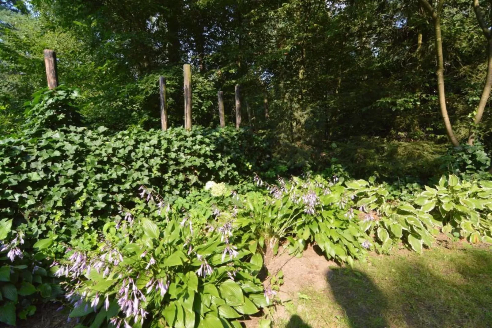De Weelderik 3-Gebieden zomer 20km