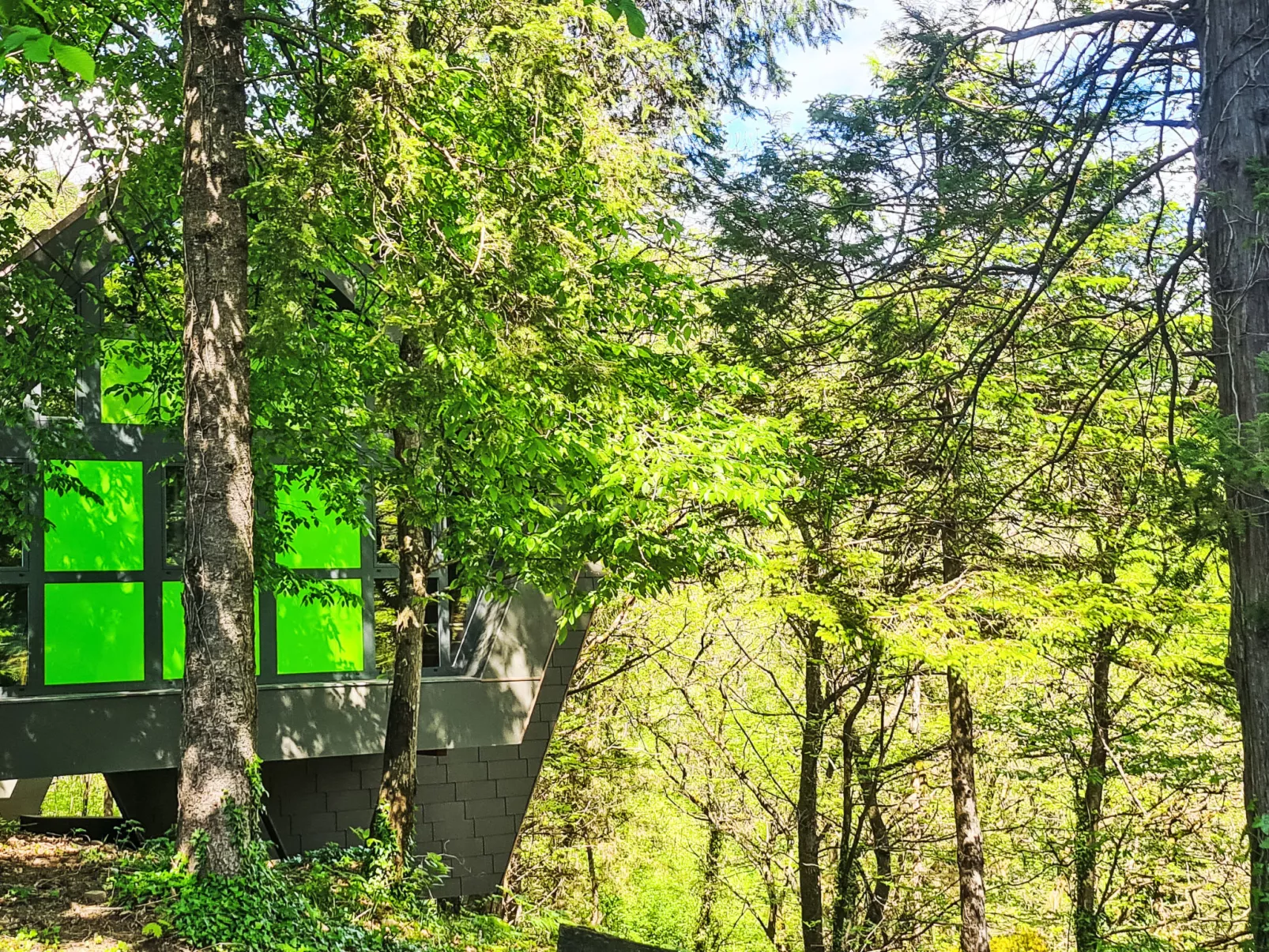 Bosco della Bella 6-Buiten