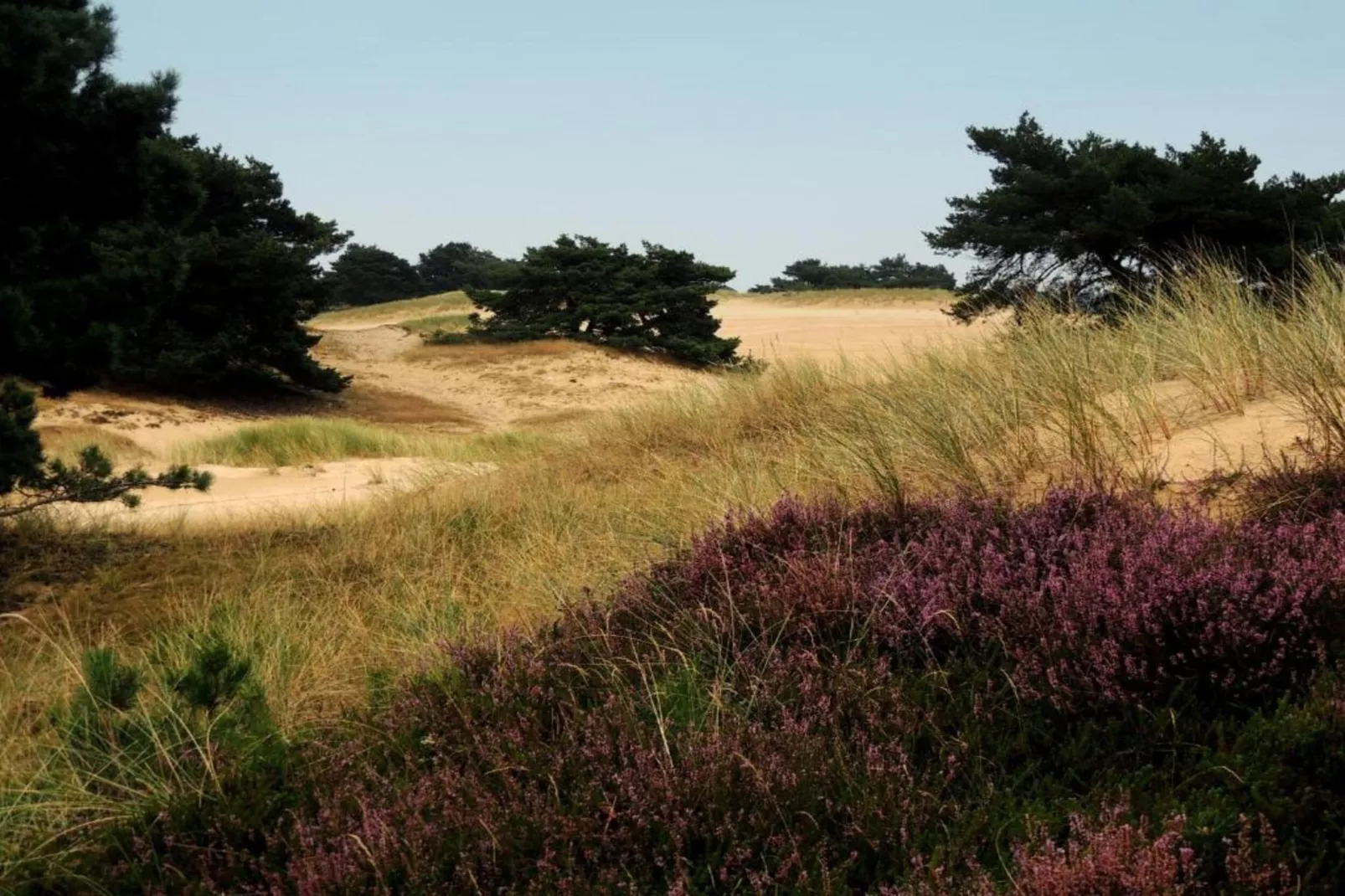 Resort Drentse Weelde 1-Gebieden zomer 5km