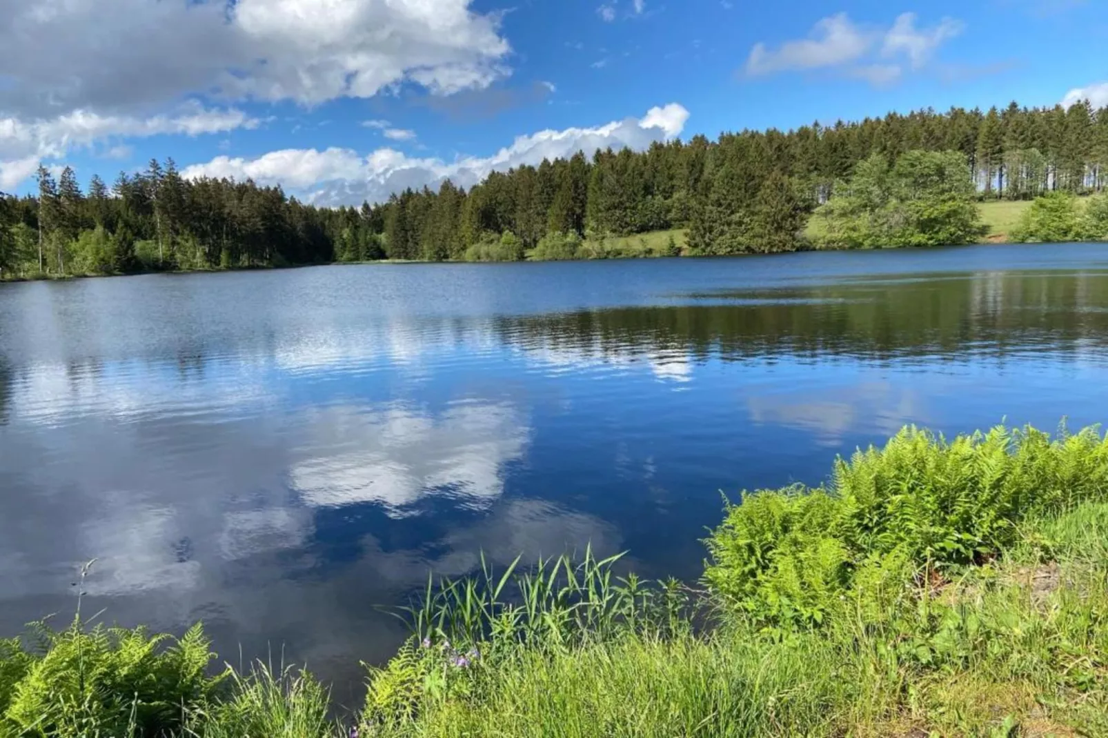 Ferienwohnung Bockwiese-Hahnenklee-Gebieden zomer 20km
