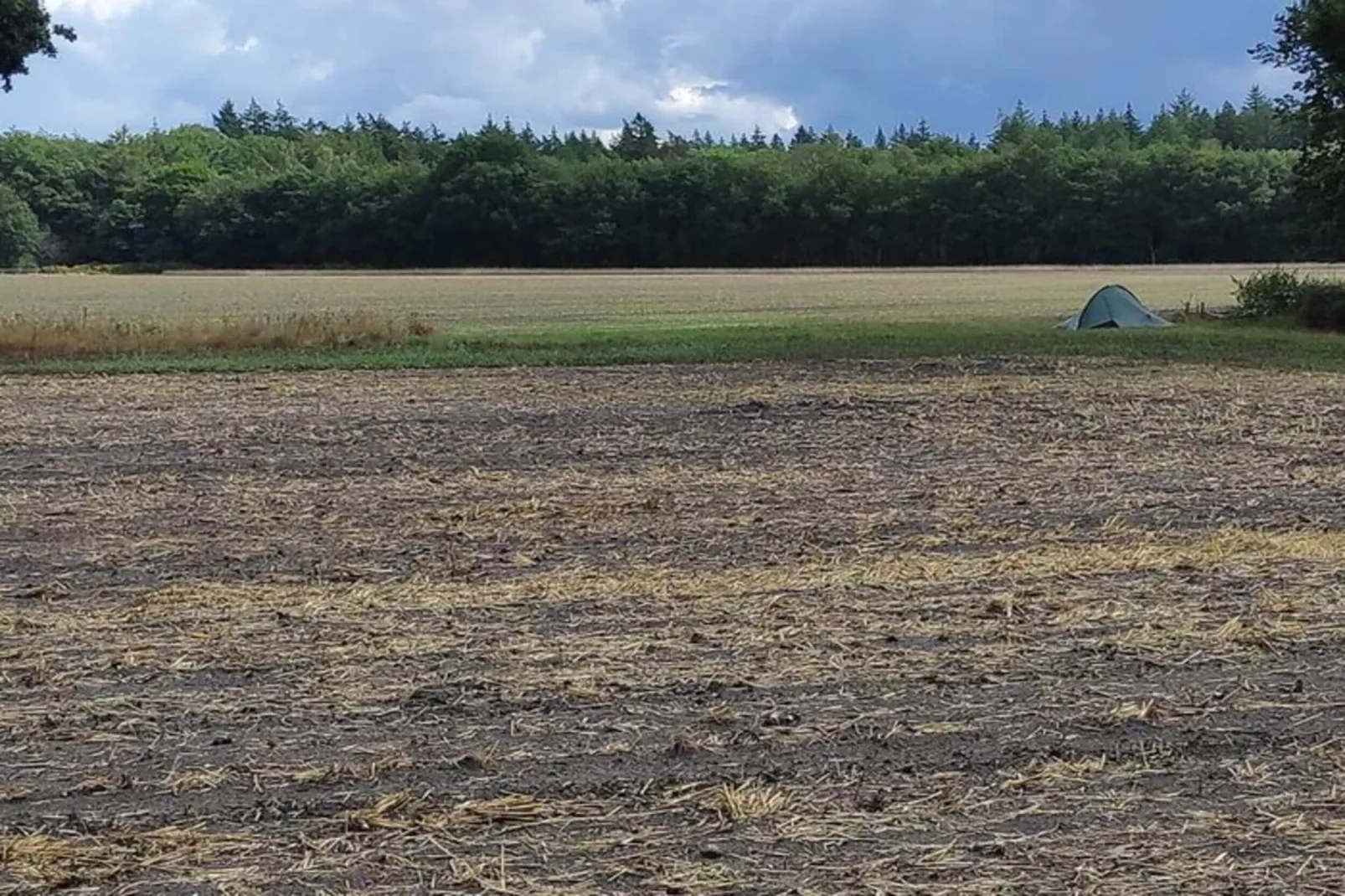 Dwergarend 17-15 - Gebieden zomer 20km