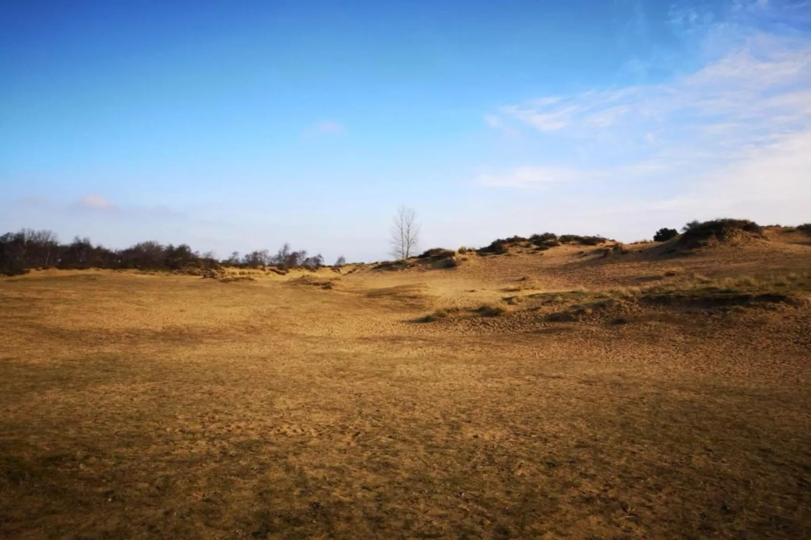 PLAZA I/2811-Gebieden zomer 5km