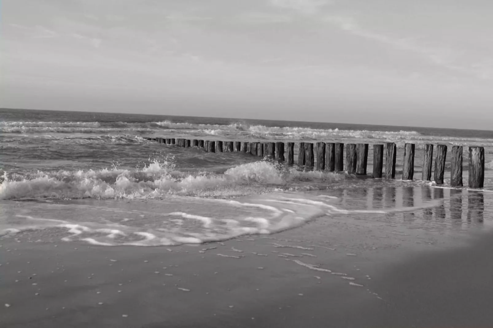 Vakantiewoning - Horizon 14  Renesse-Gebieden zomer 20km
