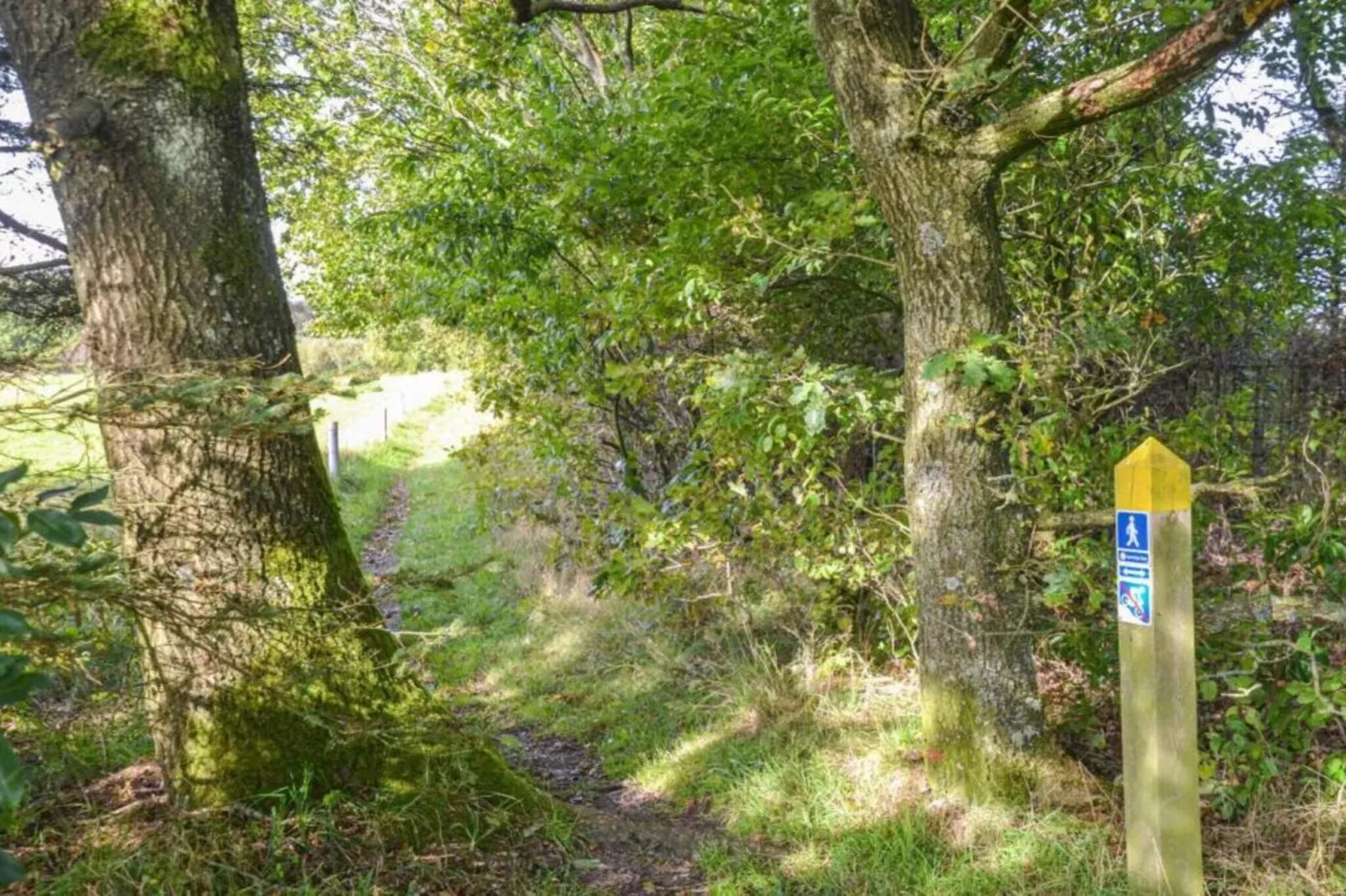 5 sterren vakantie huis in Hovborg-By Traum-Niet-getagd