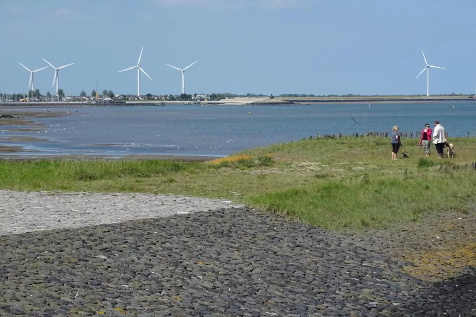 Heerlijkheid Vlietenburg 4-Gebieden zomer 20km