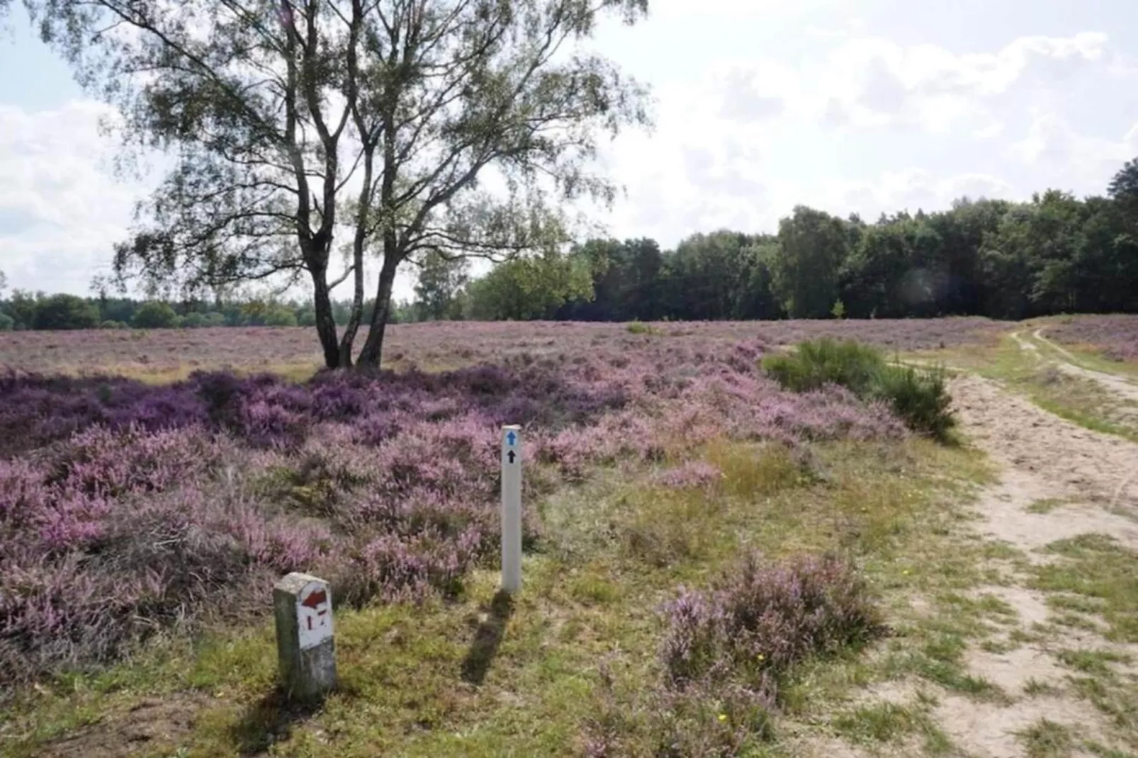 Vakantiepark Hellendoorn 6-Gebieden zomer 5km