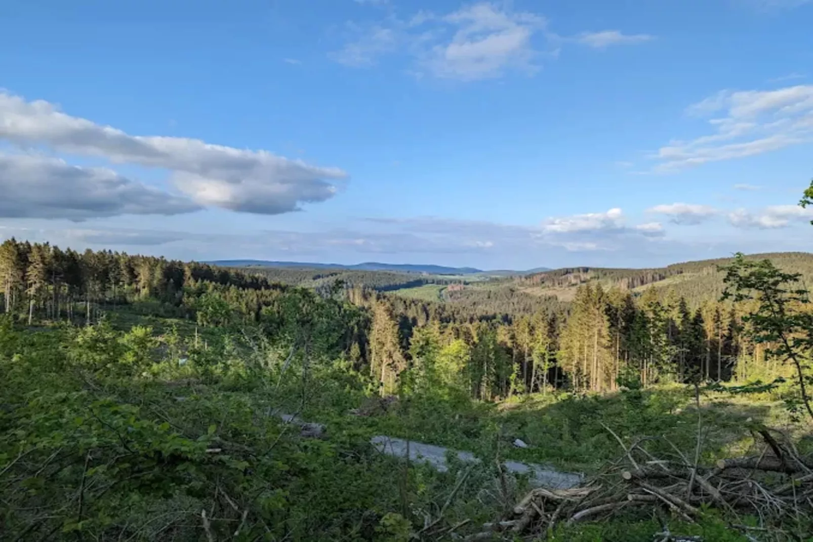 Appartement Lenneblick 2 - Altastenberg-Gebieden zomer 1km