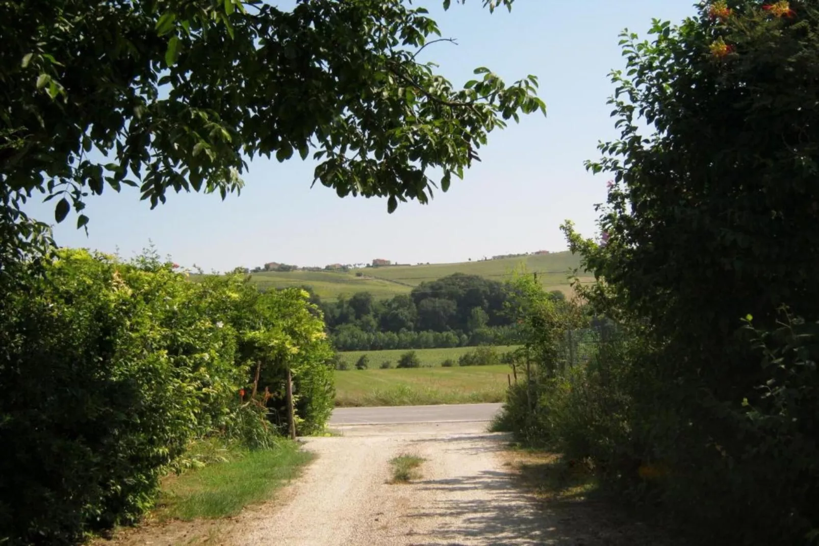 Olio-Gebieden zomer 20km