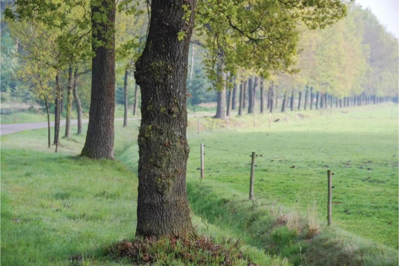 Dorpswoning Op Niveau 4-Gebieden zomer 20km