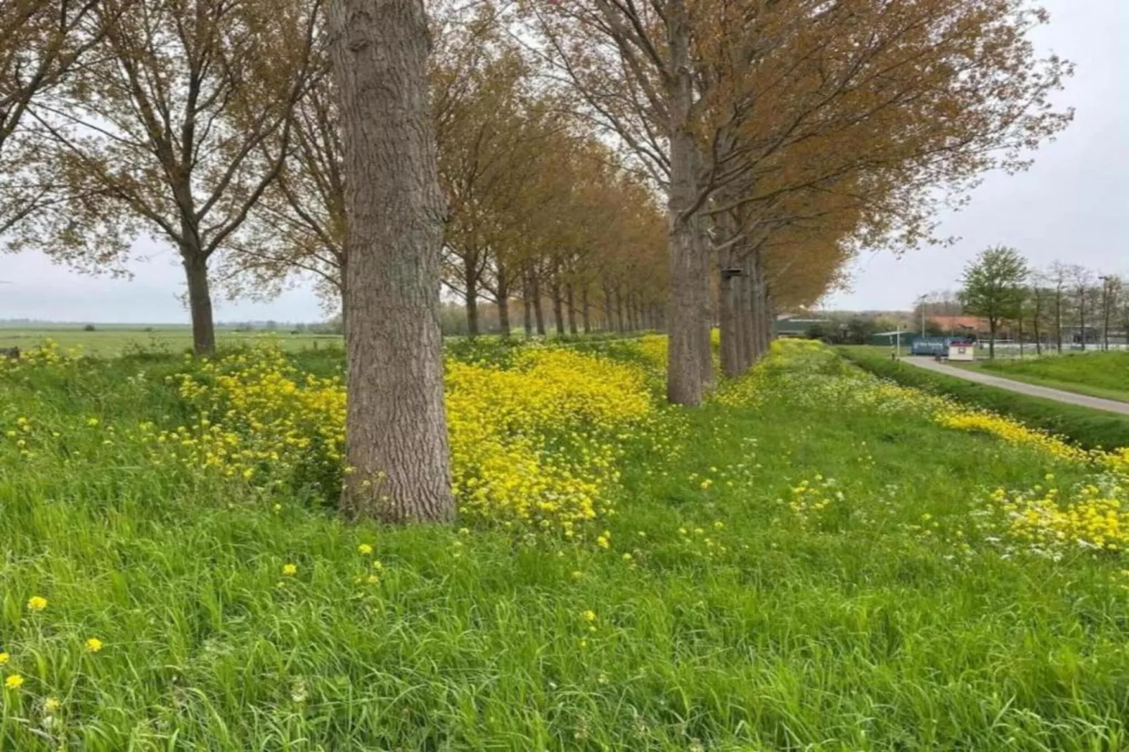 Standaard 336-Gebieden zomer 20km