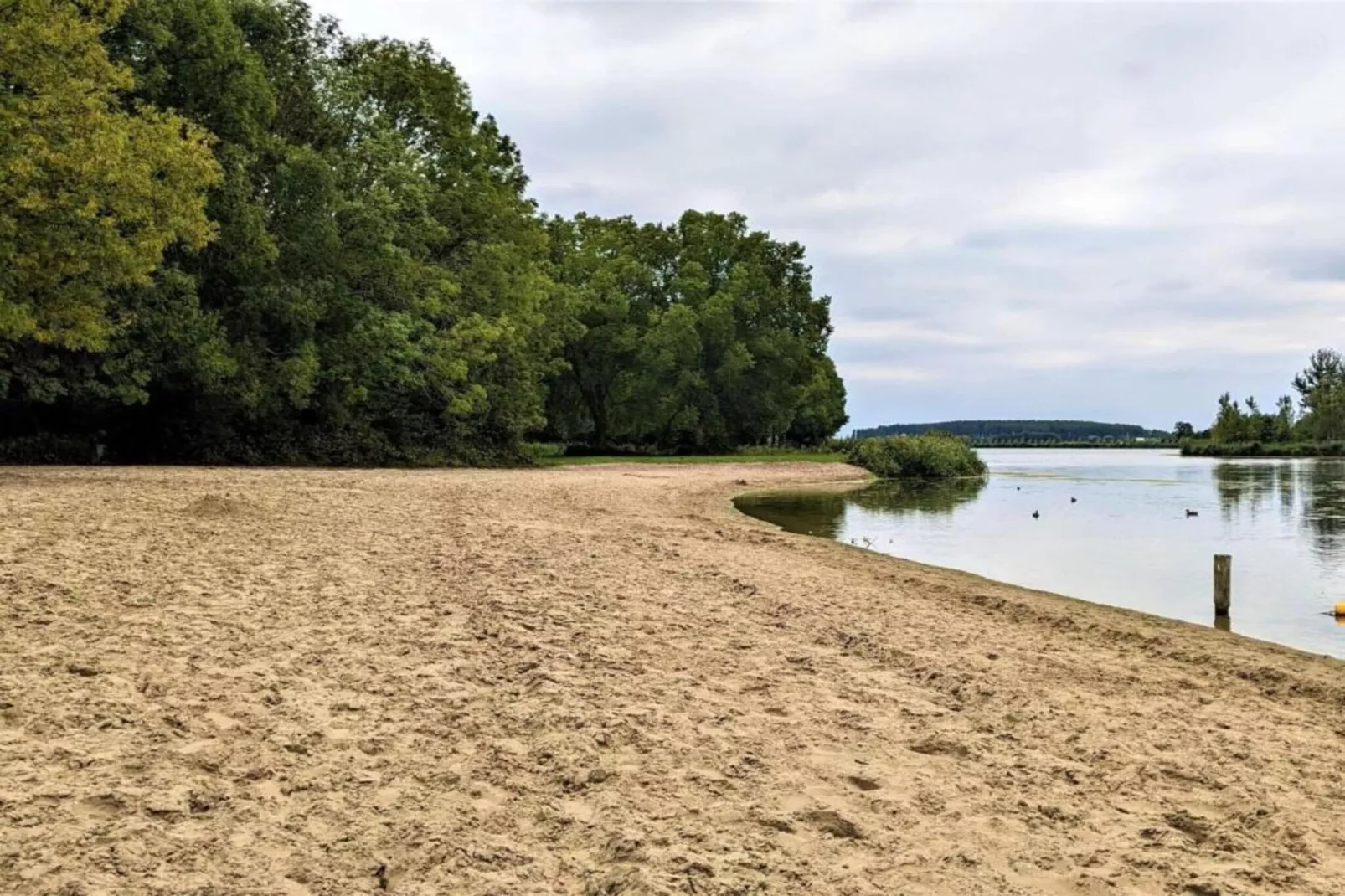 Standaard 224 - Gebieden zomer 20km