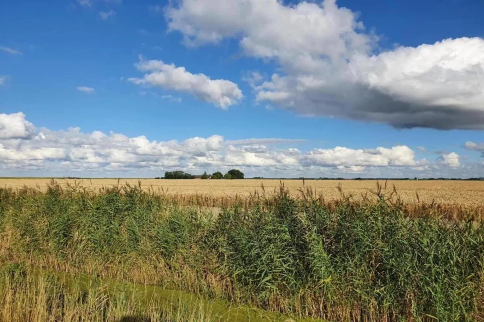 Standaard 219-Gebieden zomer 20km