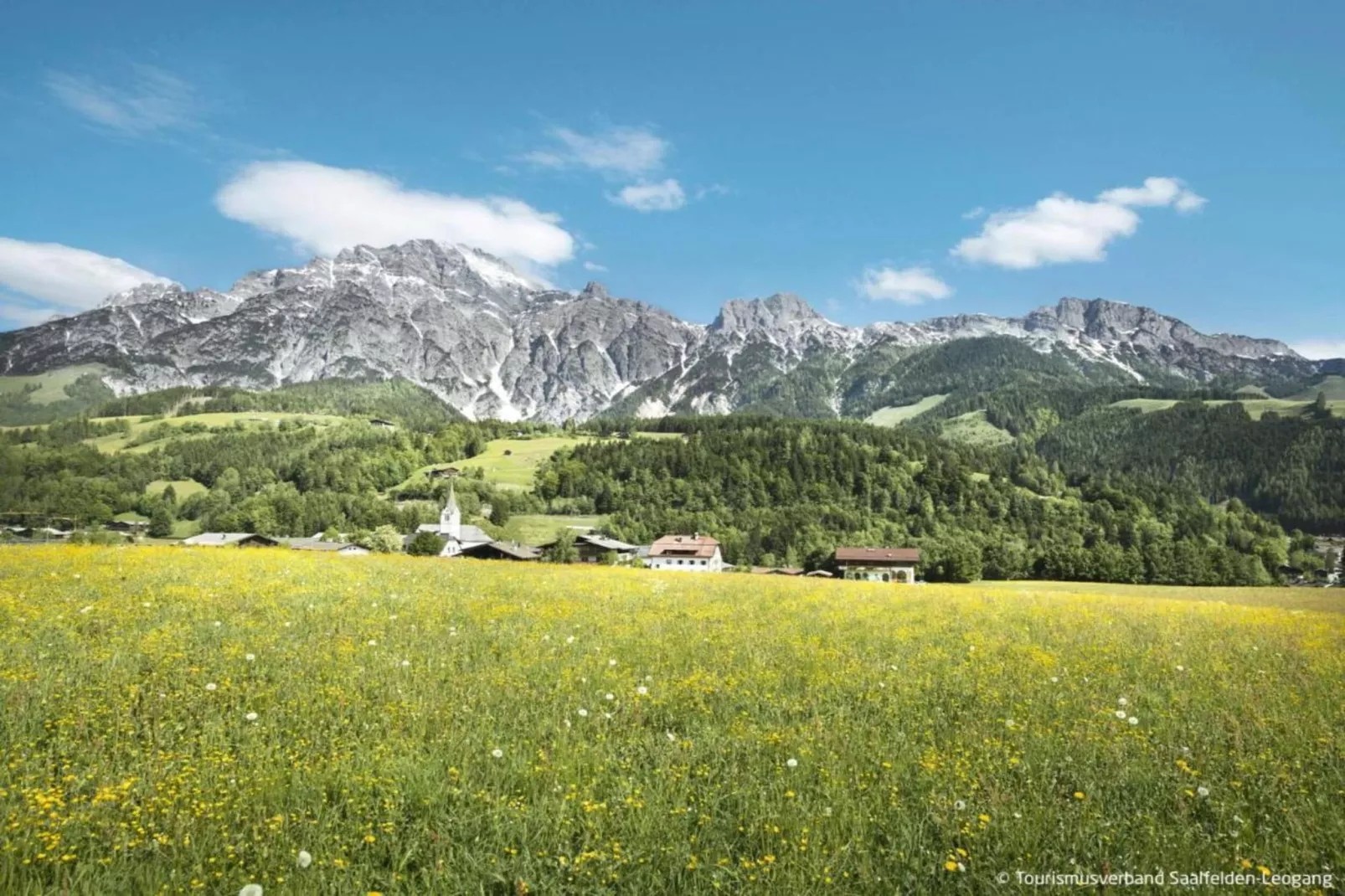 Appartement "Schnurr-Bartl" 1-2 Personen-Gebieden zomer 20km