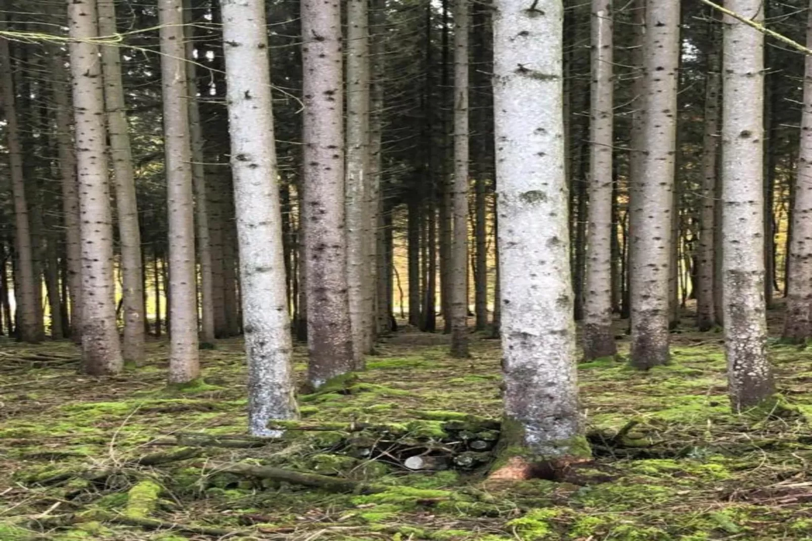 Les Trois Feuilles-Gebieden zomer 20km