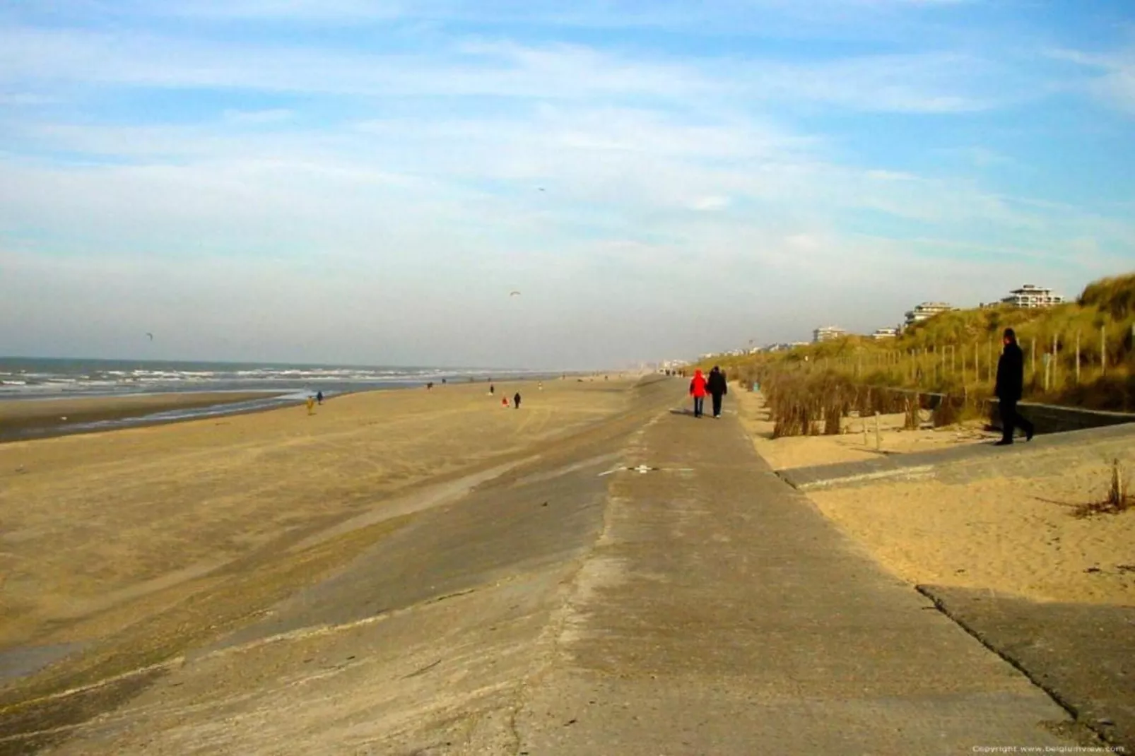 STARFISH - 3RD-Gebieden zomer 1km