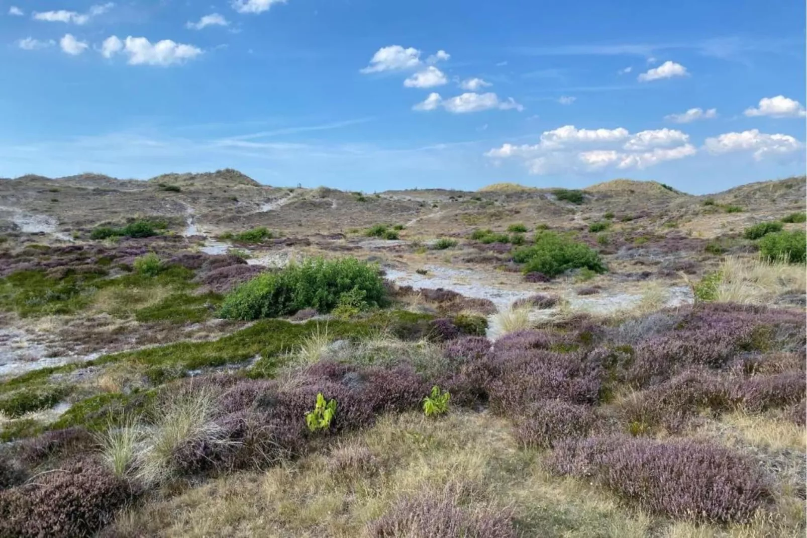 De Veldwachter-Gebieden zomer 20km