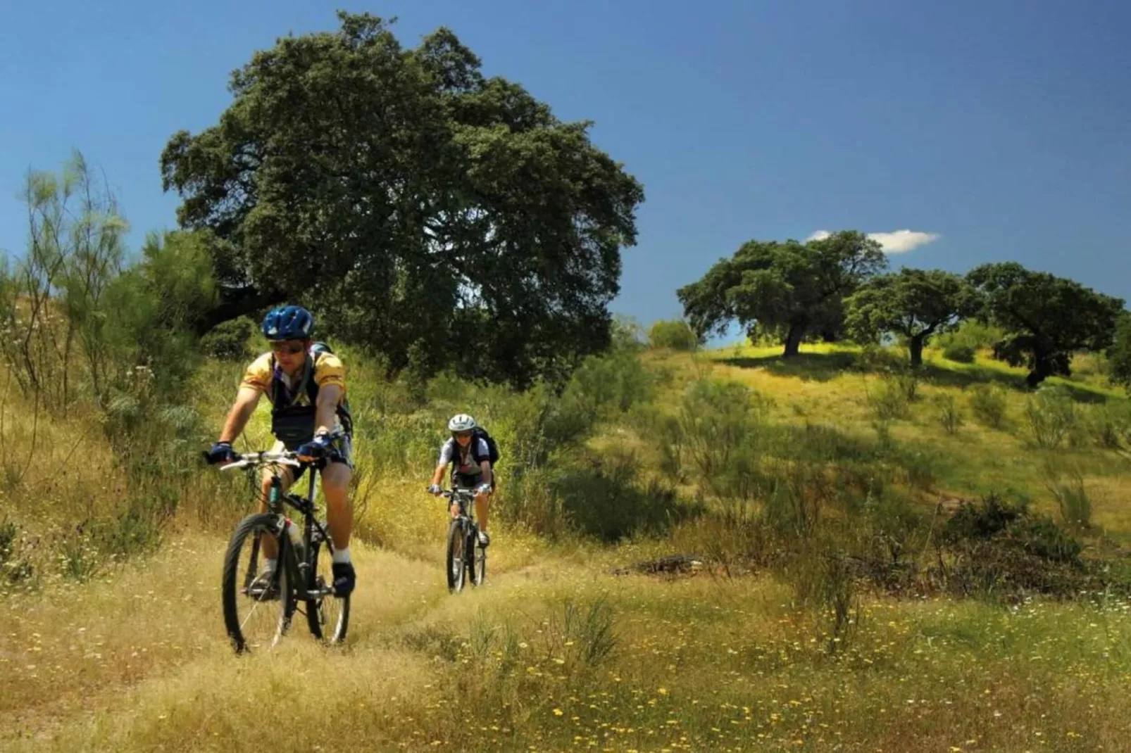 The Rabbit-Gebieden zomer 20km