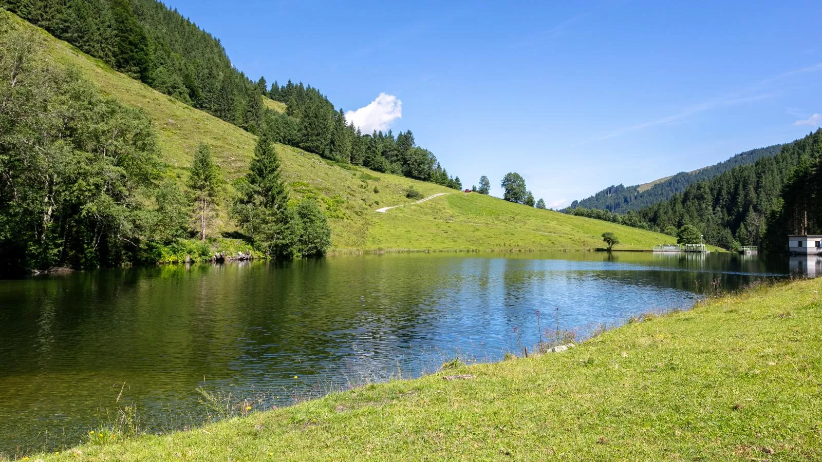 Heualm-Uitzicht zomer