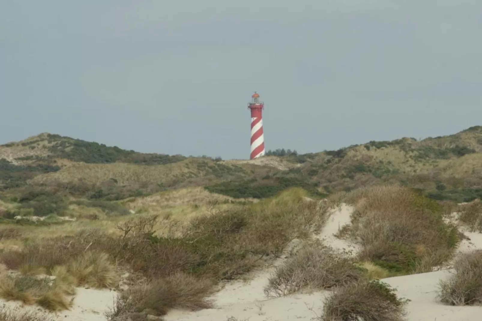 B&B de Gouwe Tijd-Gebieden zomer 20km