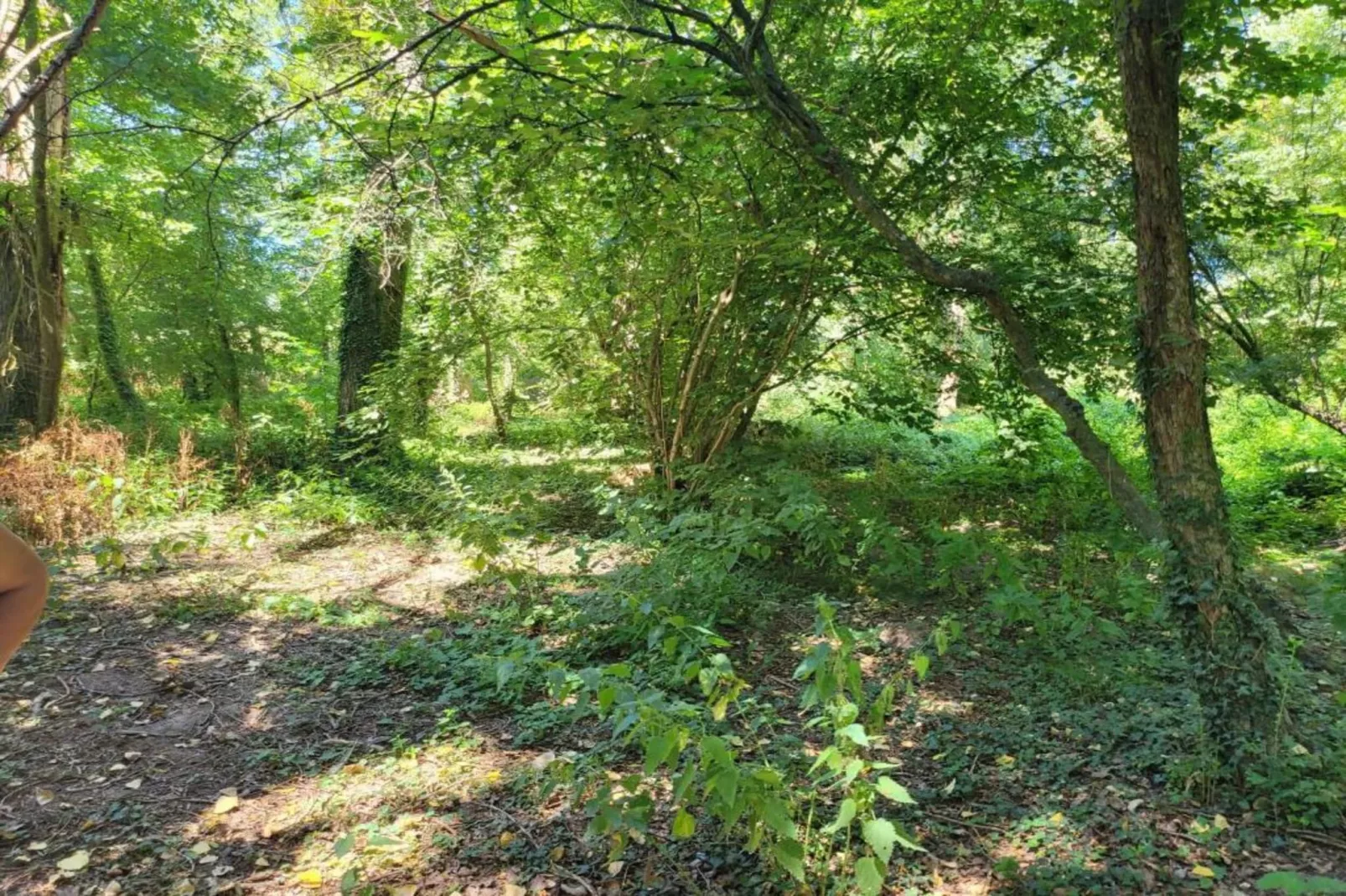Mas d'Ourbise Penan-Gebieden zomer 20km