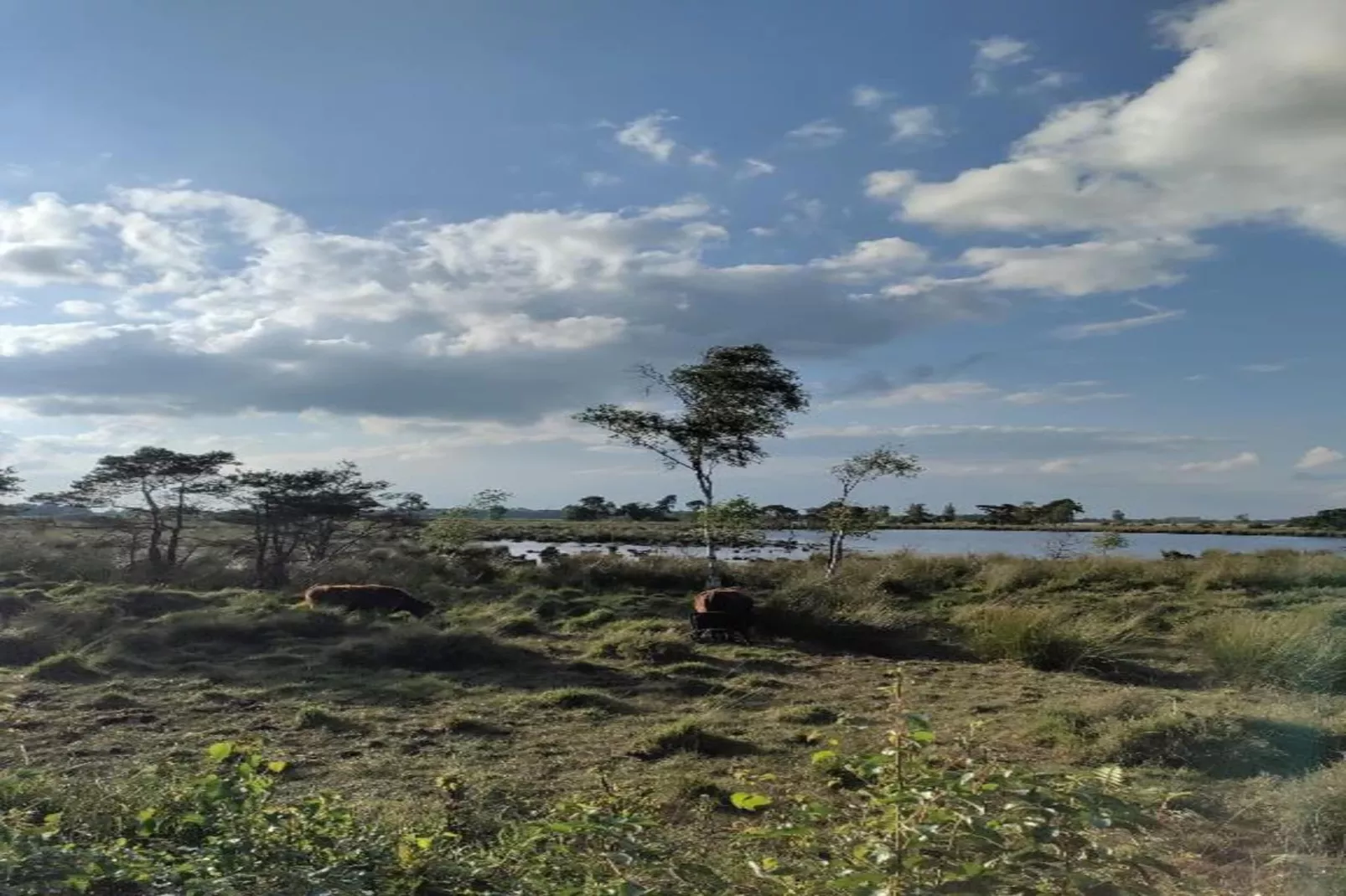 Ranger Lodge-Gebieden zomer 20km