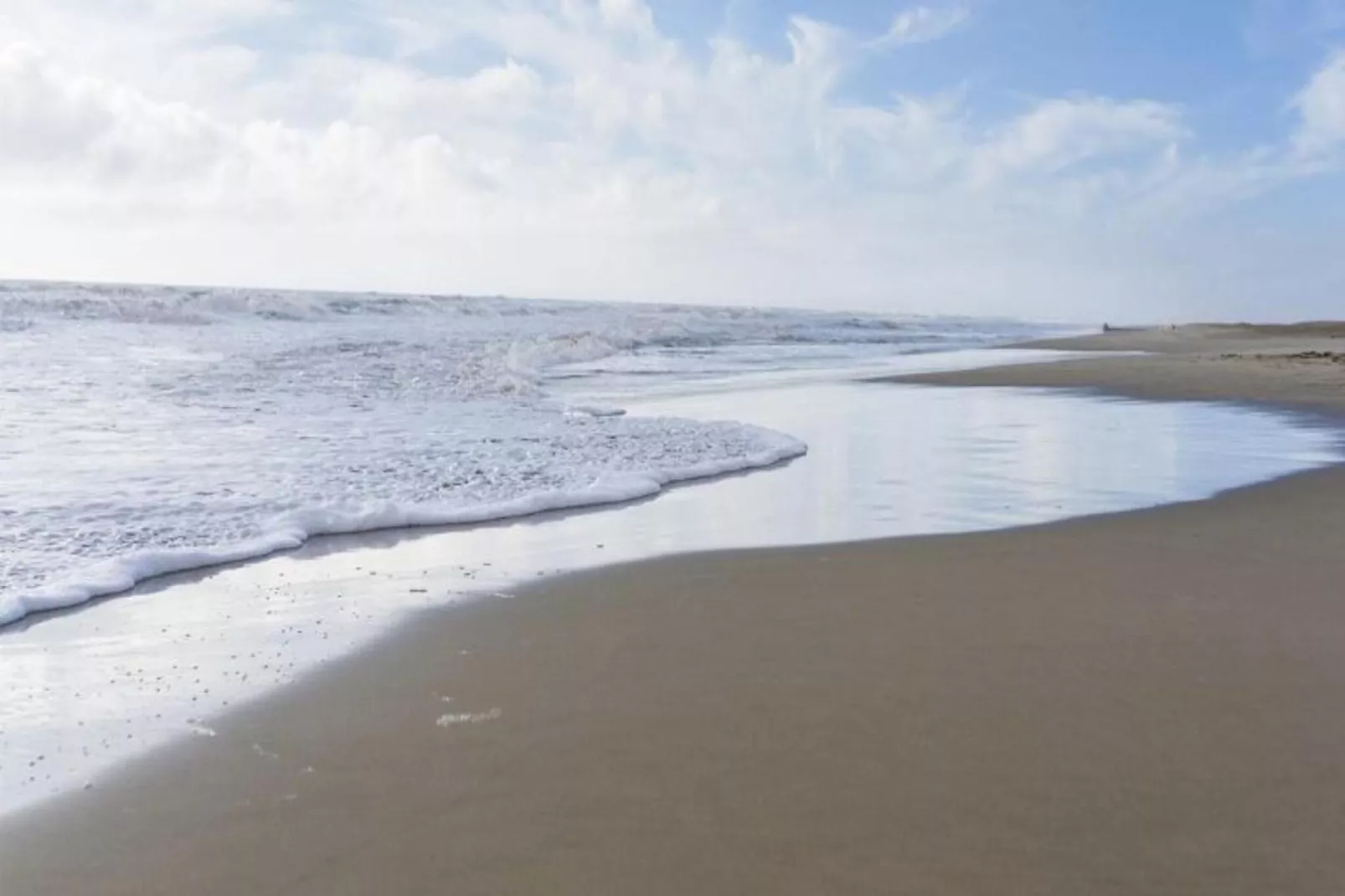 CAP CAMARGUE A N°08 - 2P4-Gebieden zomer 20km