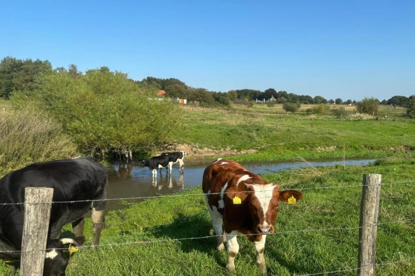 Vakantie bij Meeussen - Molendal 4-Gebieden zomer 20km