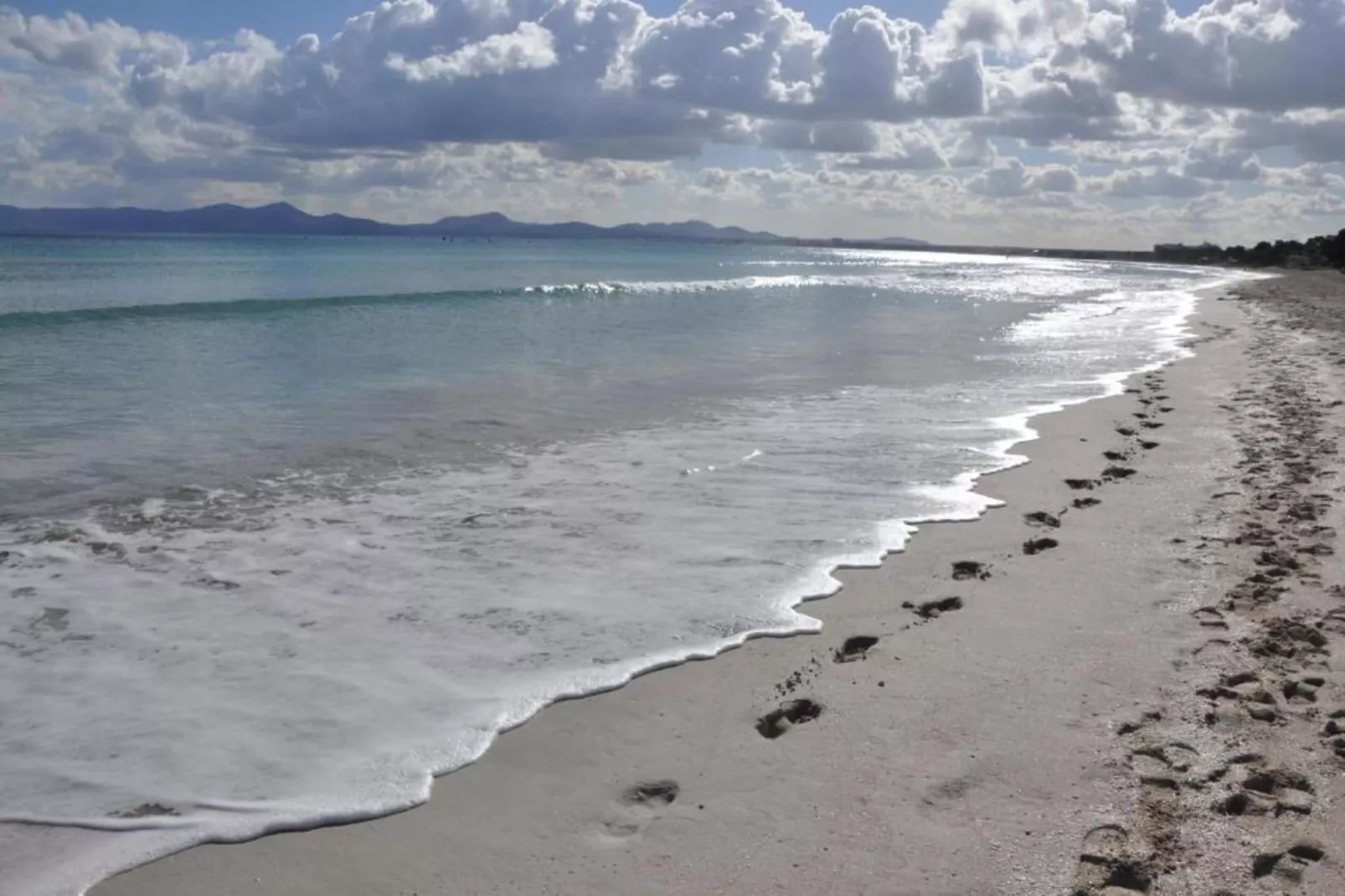 Alcudia Beach-Gebieden zomer 1km