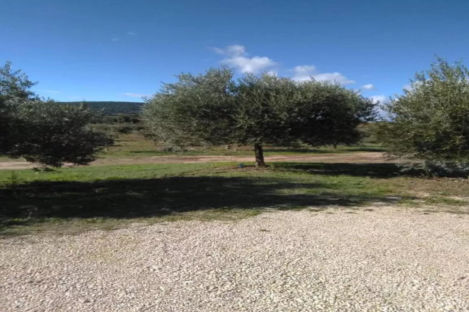 Alana-Gebieden zomer 20km