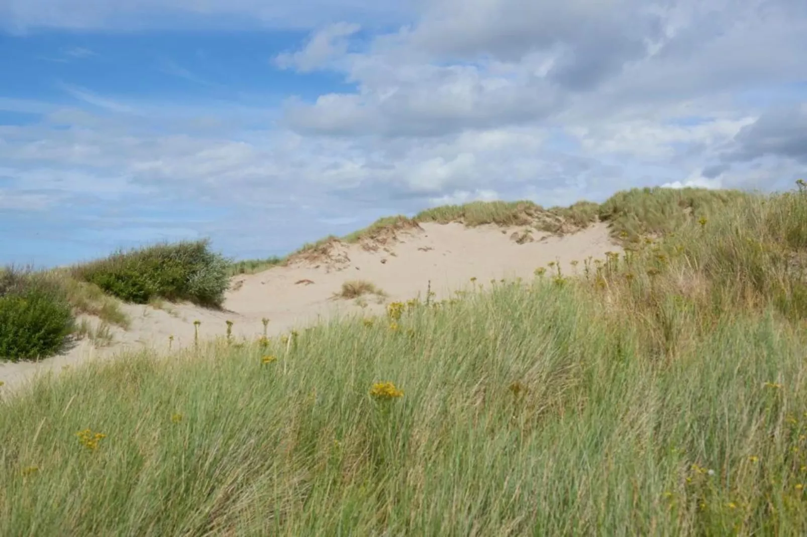 Residentie Sun Beach 0501-Gebieden zomer 20km