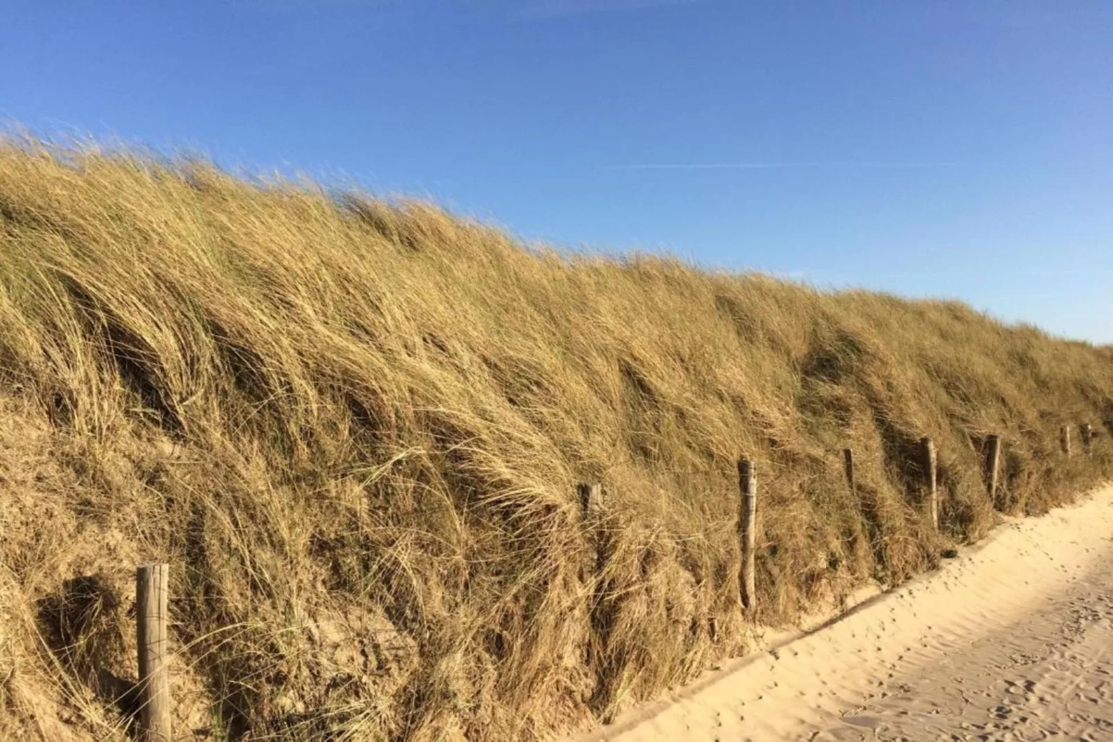 Residentie Les Bruyères 0501-Gebieden zomer 20km