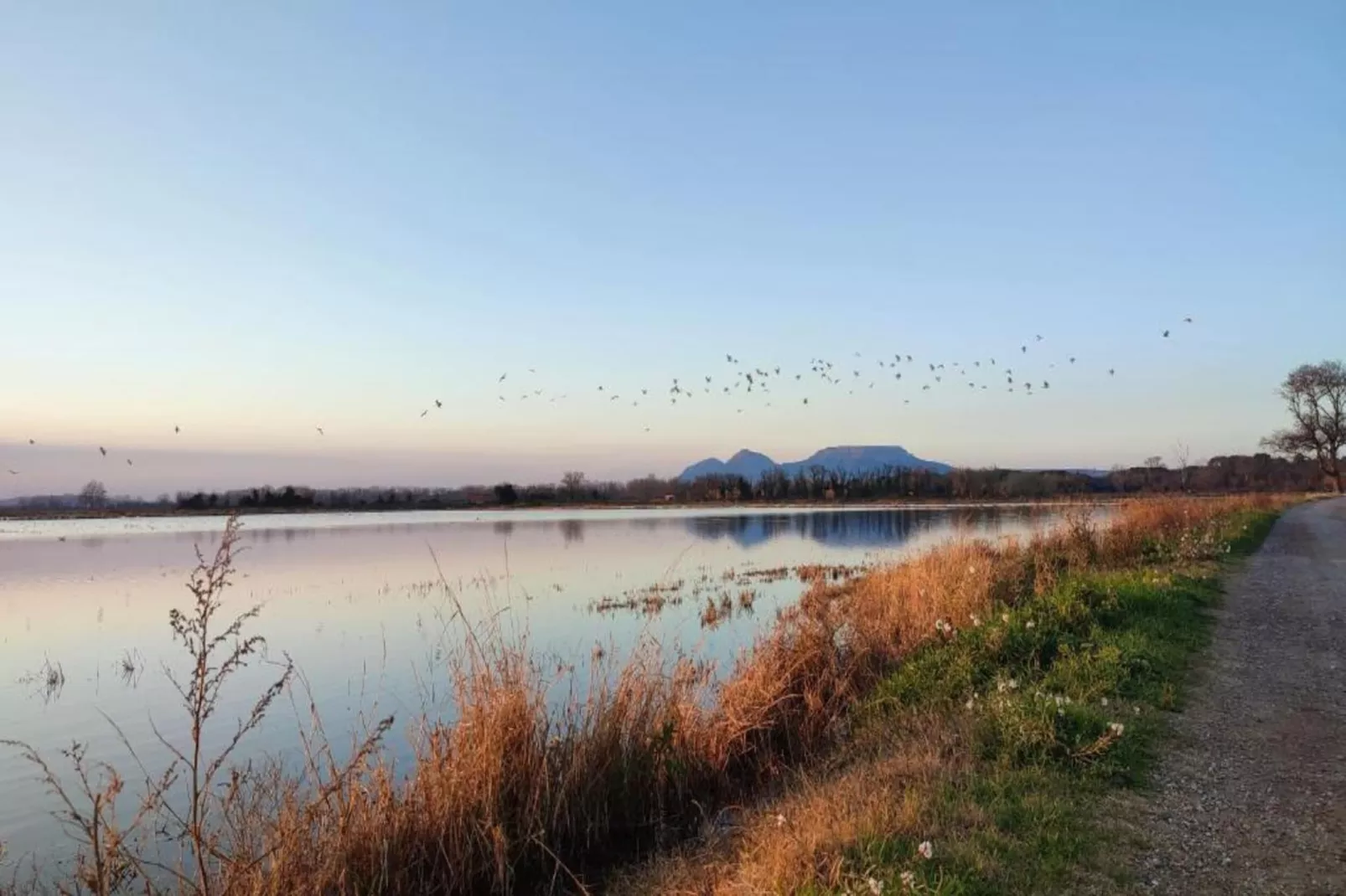 Arcos H1-Gebieden zomer 1km