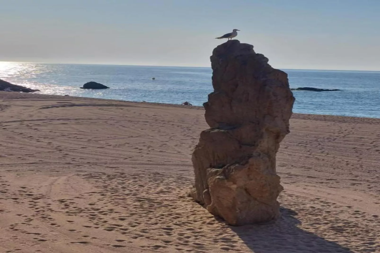 Agnes-Gebieden zomer 20km