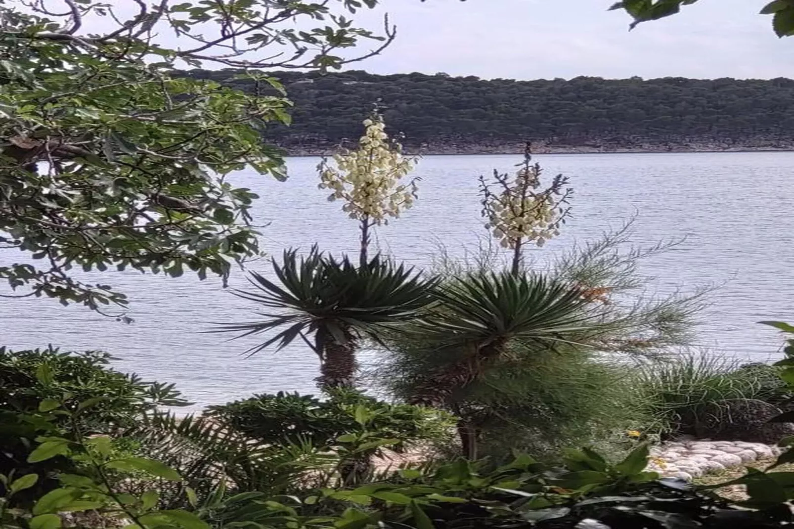 Apartments Jurica - Apt Petra with Sea View-Gebieden zomer 20km