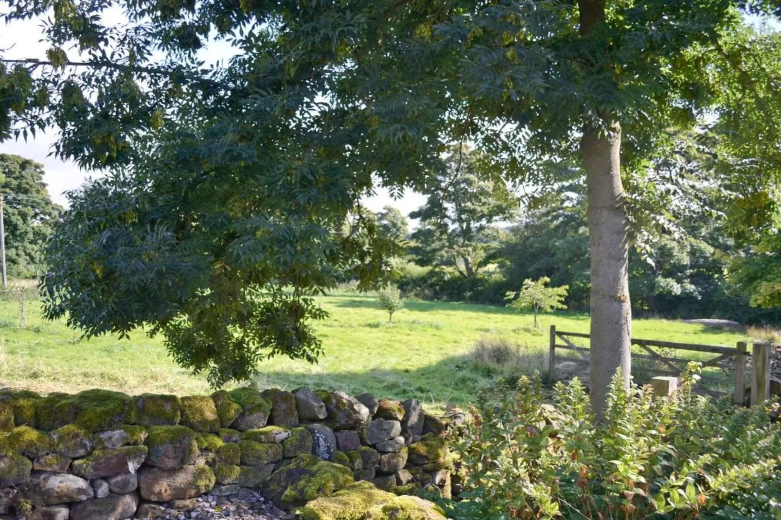 Tyg Cottage near Fountains Abbey & Brimham Rocks-Gebieden zomer 20km