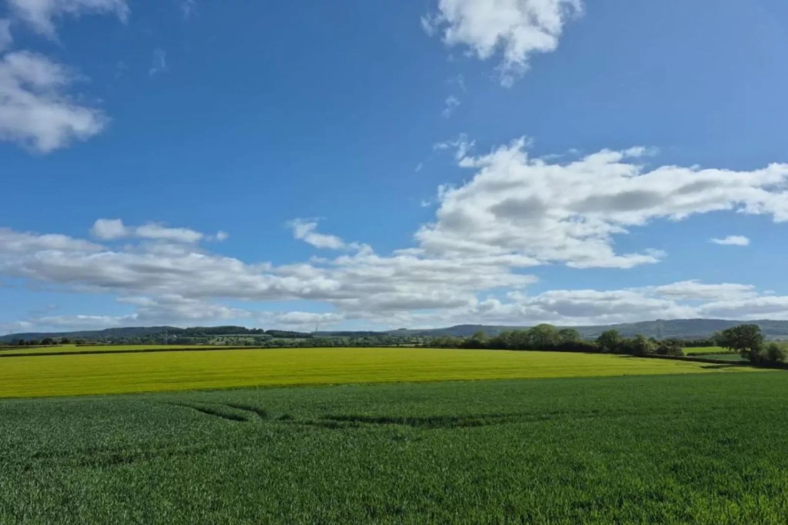 Kilburn Hall Apt-Gebieden zomer 5km