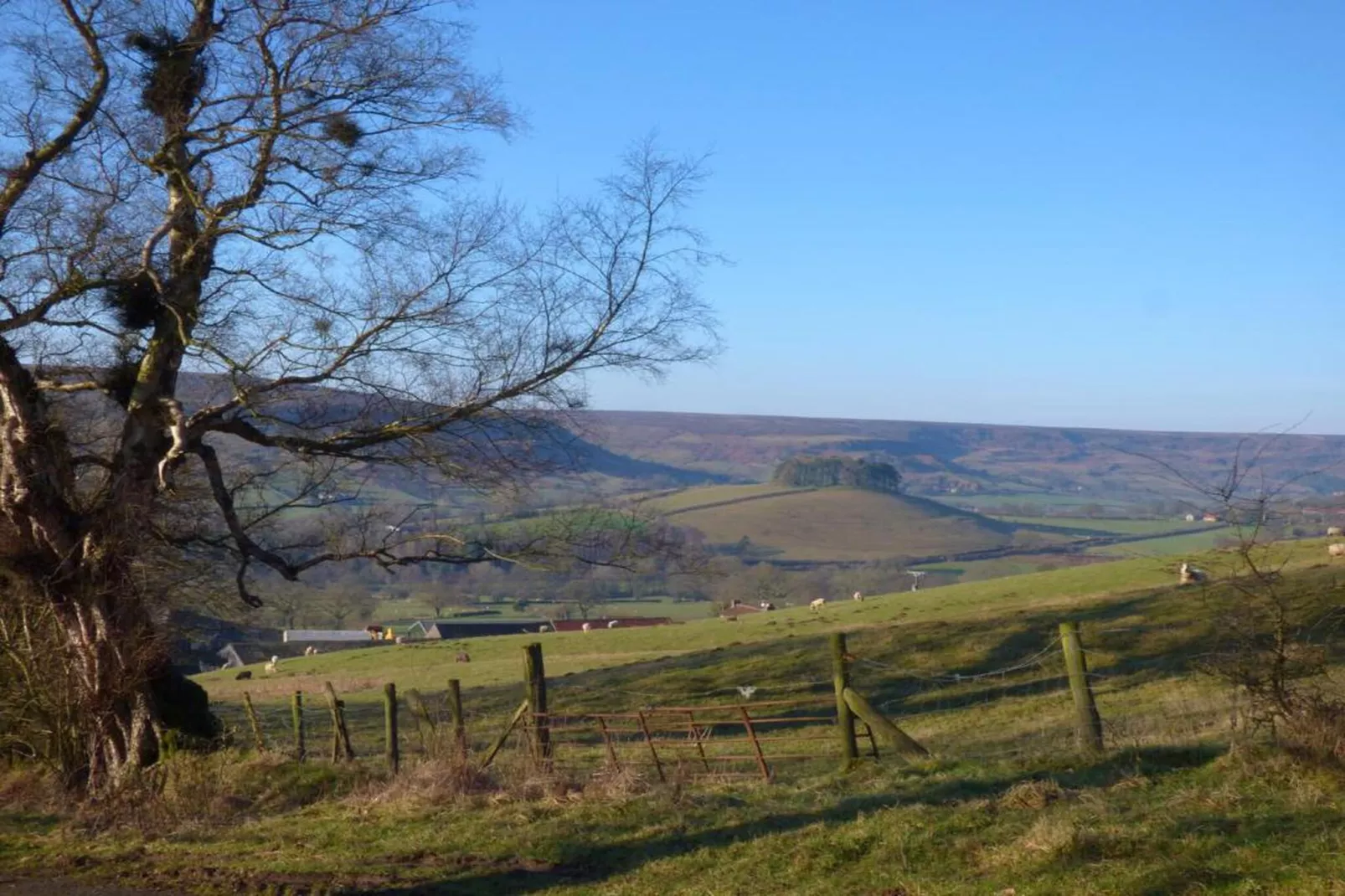 Rosedale Hall Cottage-Gebieden zomer 20km
