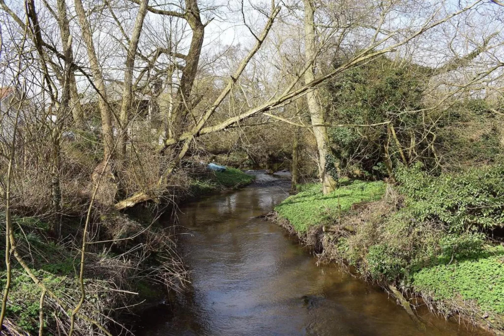 Ryedale Hall Cottage-Gebieden zomer 5km