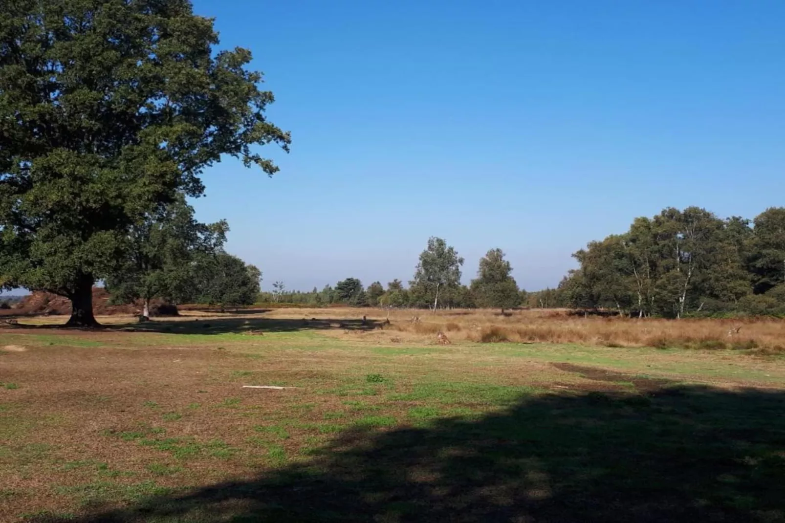 Bungalow Langelo-Gebieden zomer 5km