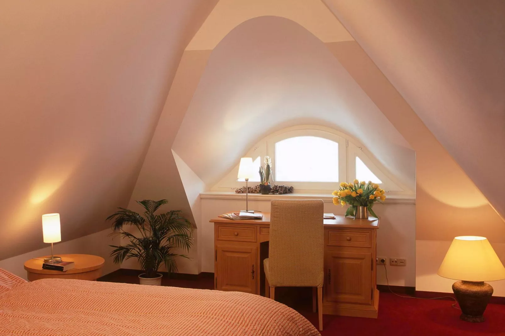 Ferienhaus Küstenwald klein - Strandhotel Fischland