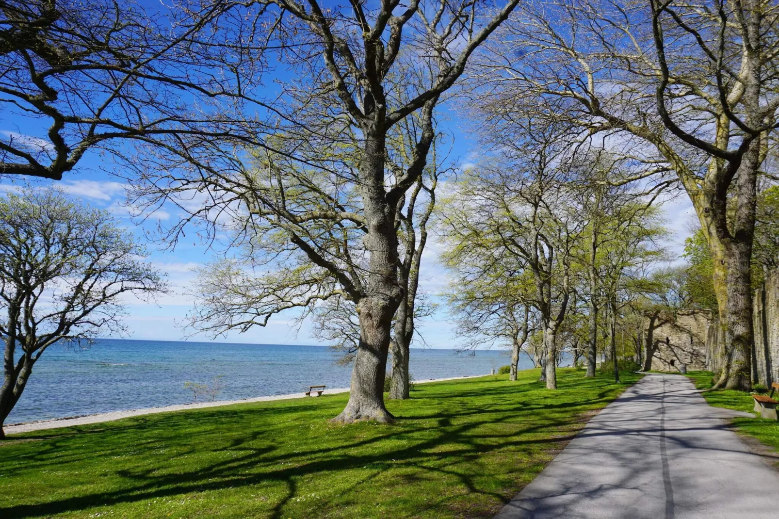 4 sterren vakantie huis in VISBY